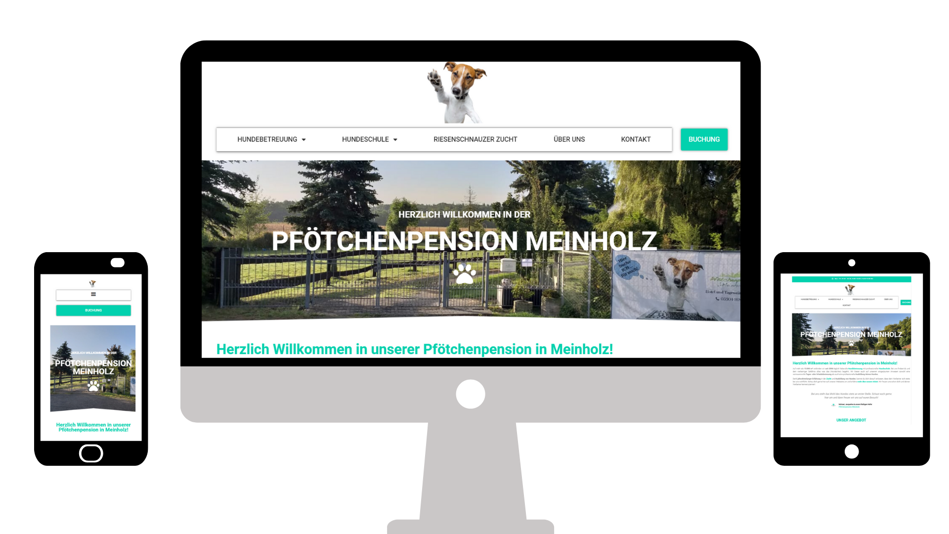 OnlineSaat - Nachhaltiges Webdesign